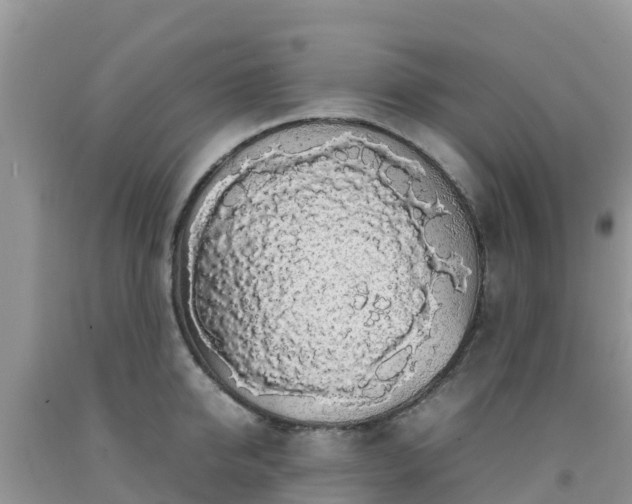 X0000092060950200709191139