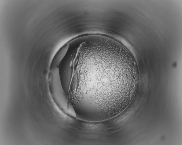 X0000092060951200709191139