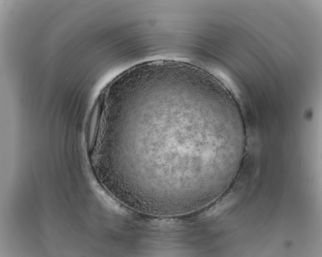 X0000092060952200709191139