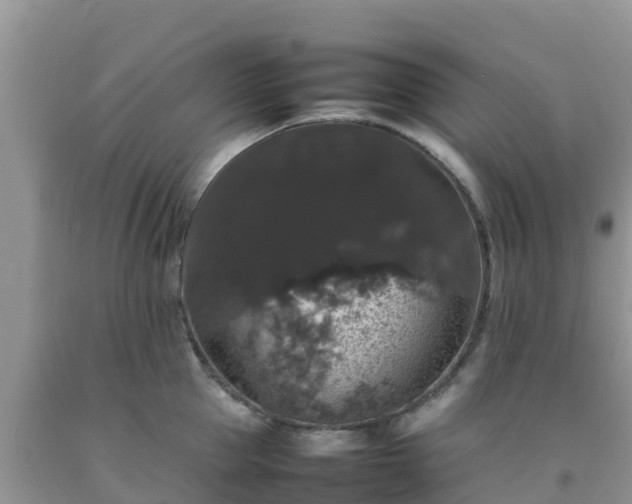 X0000092060953200709191139