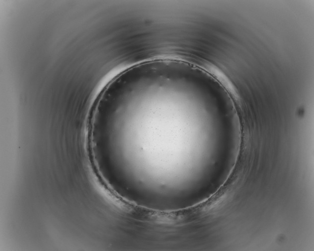 X0000092060955200709191139