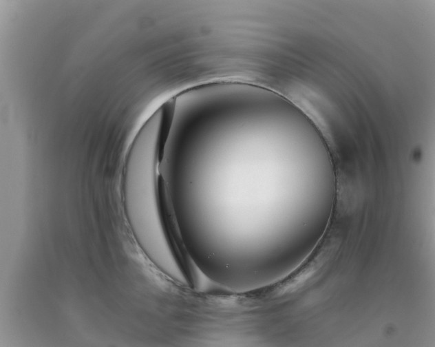 X0000092060956200709191139