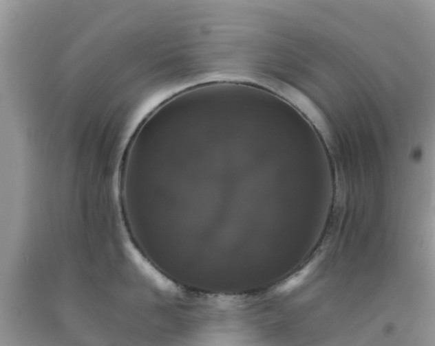 X0000092060958200709191139