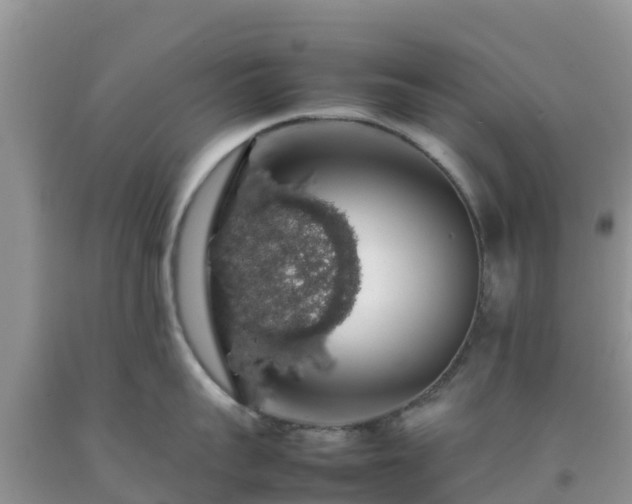 X0000092060959200709191139