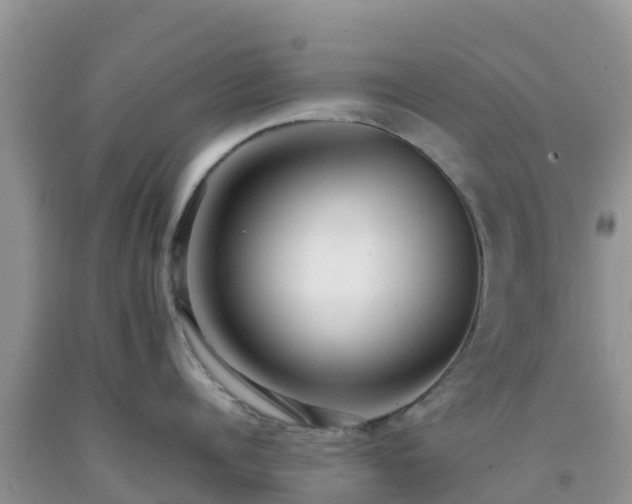 X0000092060960200709191139