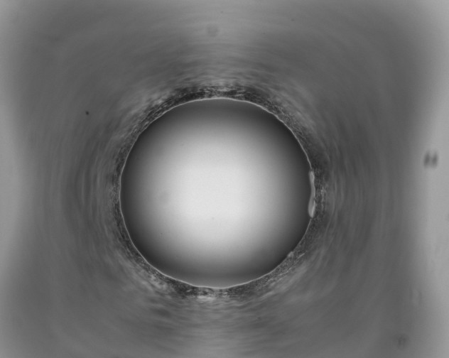 X0000092060961200709191138