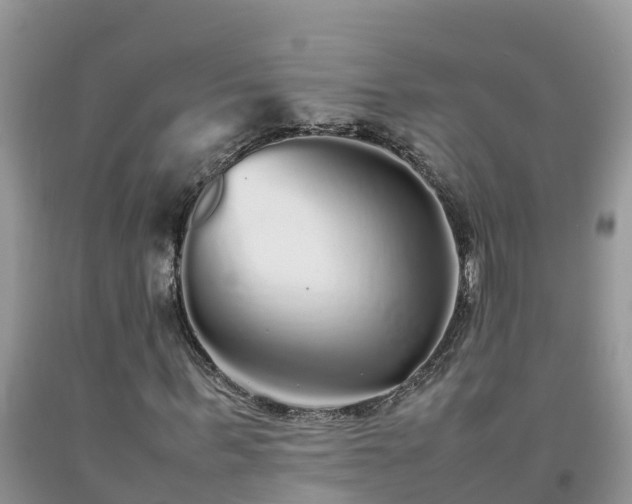 X0000092060963200709191138