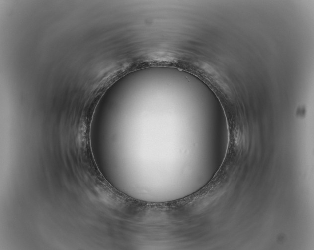 X0000092060964200709191138