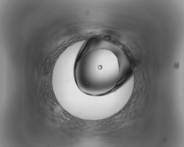 X0000092060965200709191138