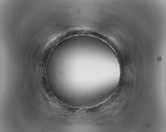 X0000092060967200709191138