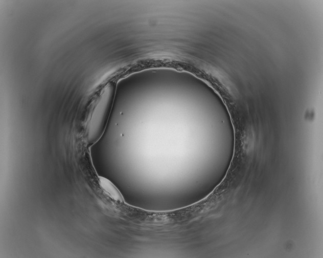 X0000092060968200709191138