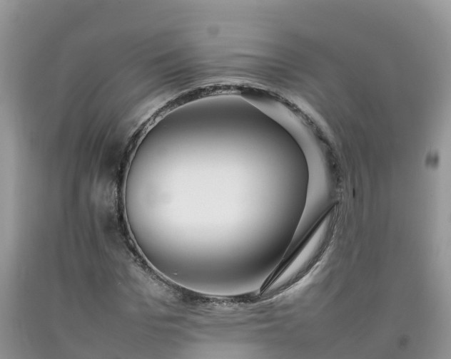 X0000092060969200709191138