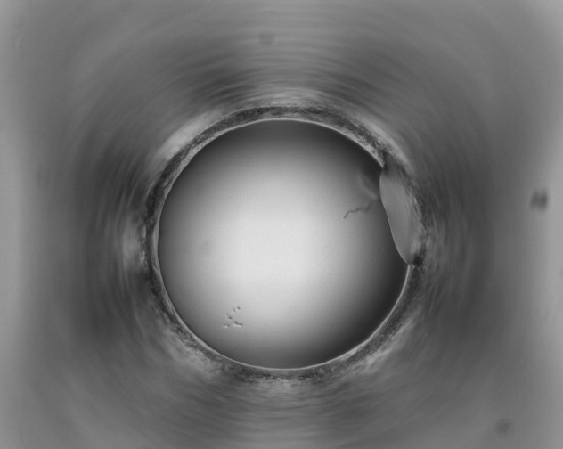 X0000092060970200709191138