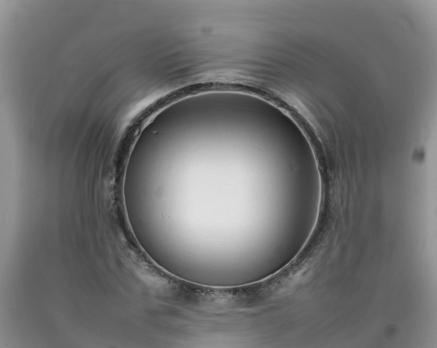 X0000092060971200709191138