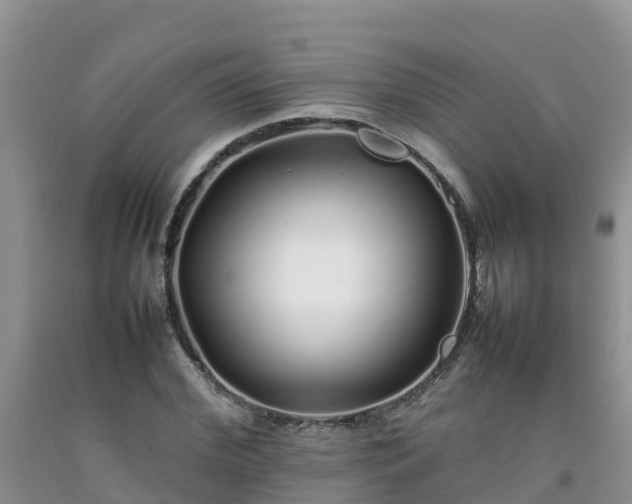 X0000092060972200709191138