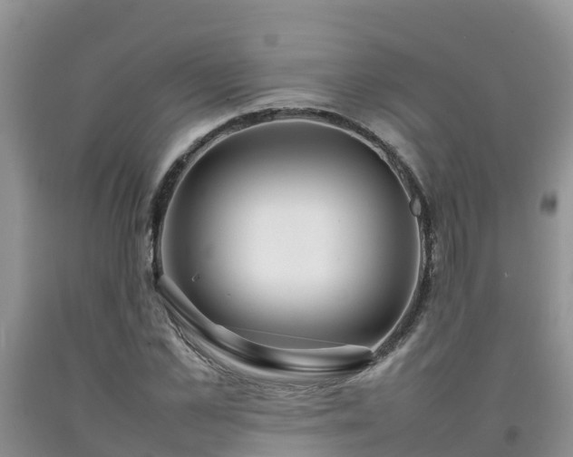 X0000092060973200709191138