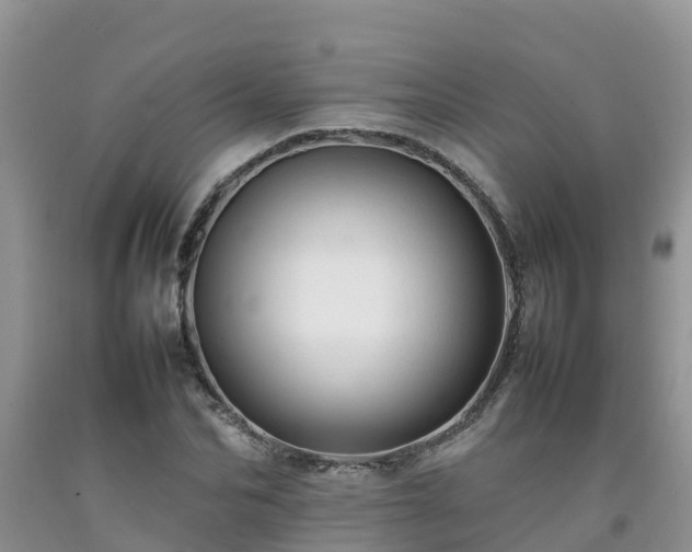 X0000092060974200709191138