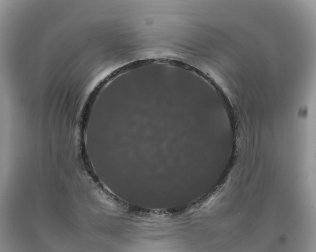 X0000092060975200709191138