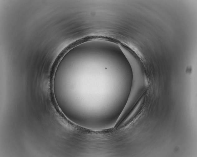 X0000092060976200709191138