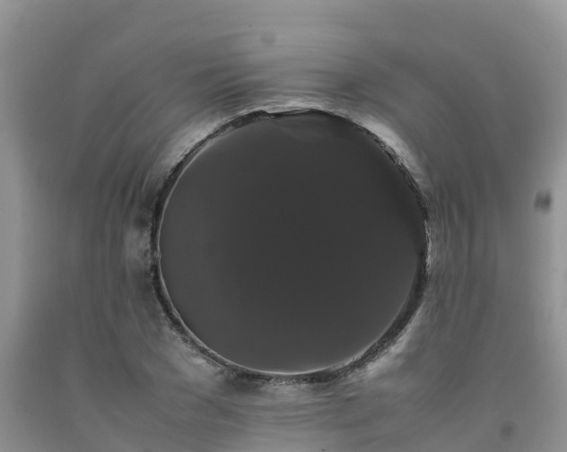 X0000092060977200709191138