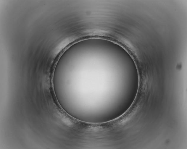 X0000092060978200709191138