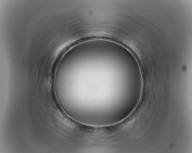 X0000092060979200709191138