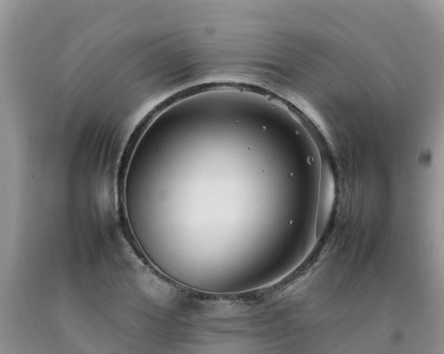 X0000092060980200709191138