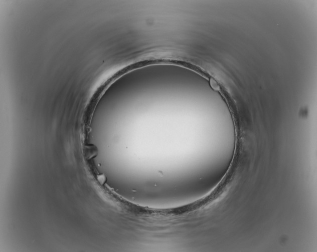 X0000092060981200709191138