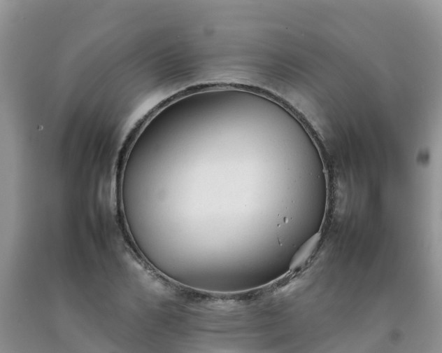 X0000092060982200709191138