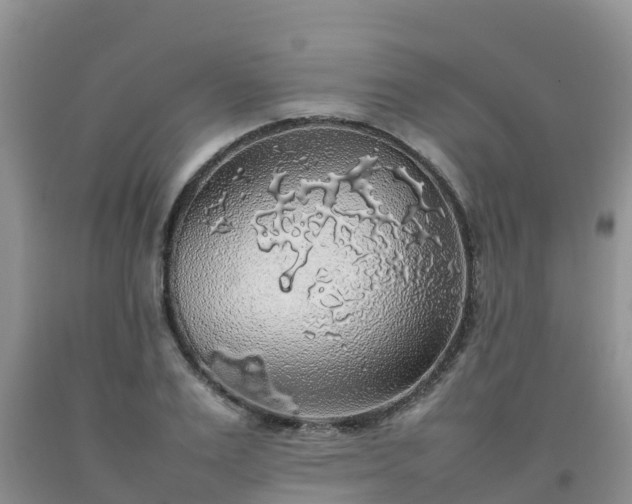 X0000092060983200709191138