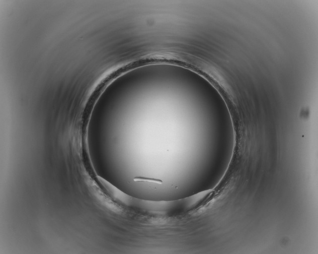 X0000092060984200709191138