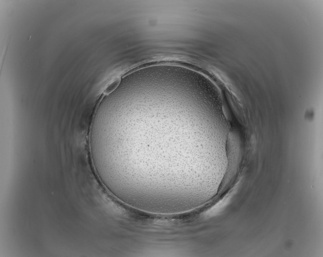 X0000092060985200709191138