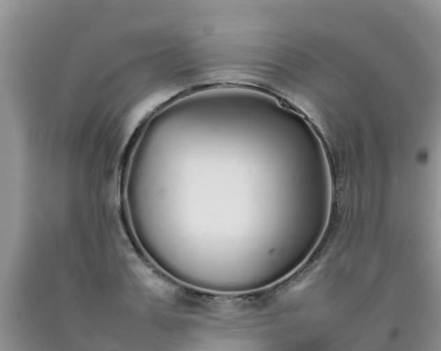 X0000092060987200709191138