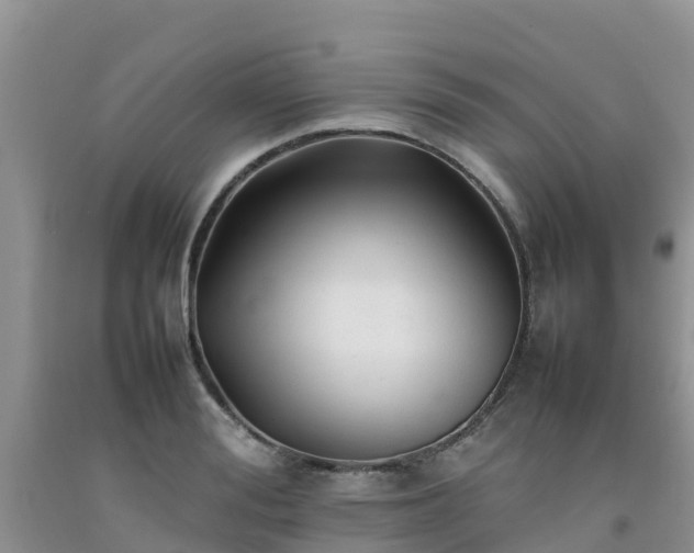 X0000092060988200709191138