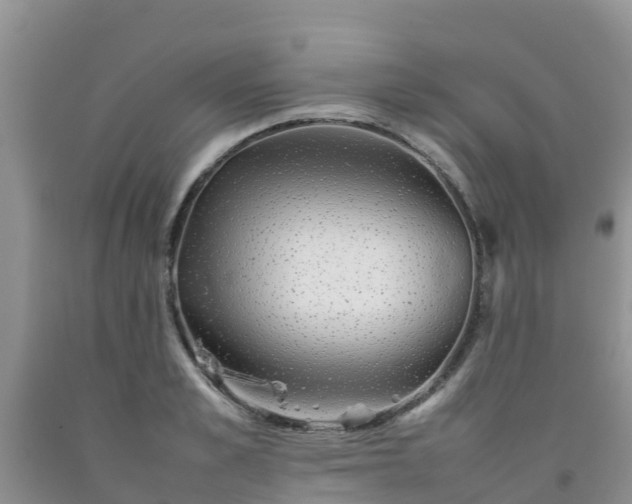 X0000092060989200709191138