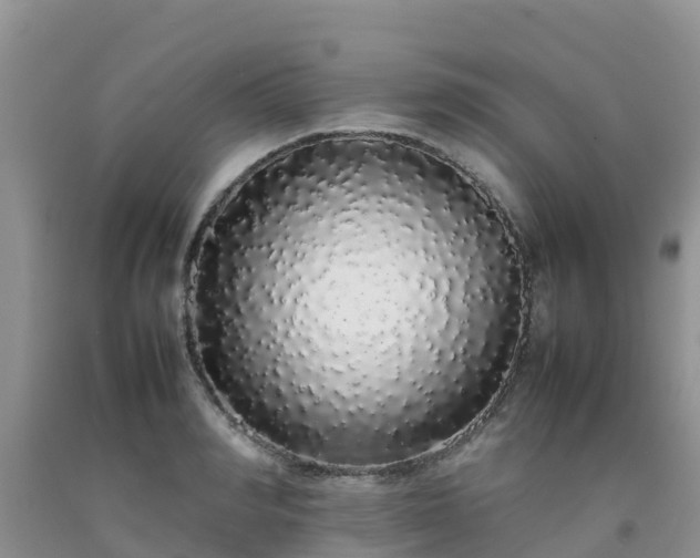 X0000092060990200709191138