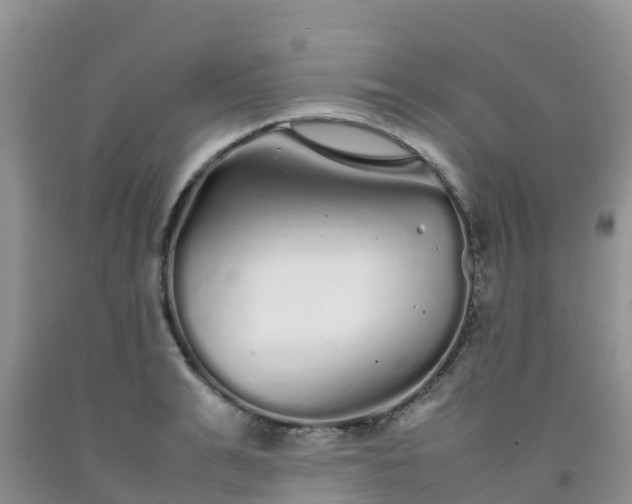 X0000092060991200709191138