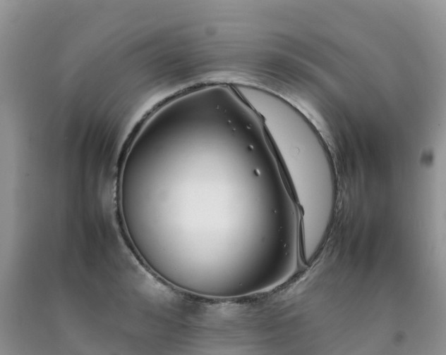 X0000092060992200709191138