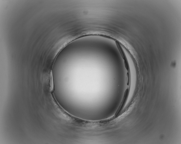 X0000092060993200709191138