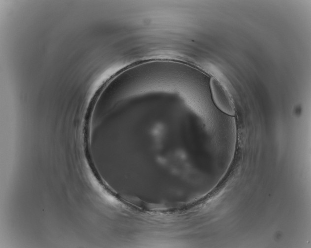 X0000092060995200709191137