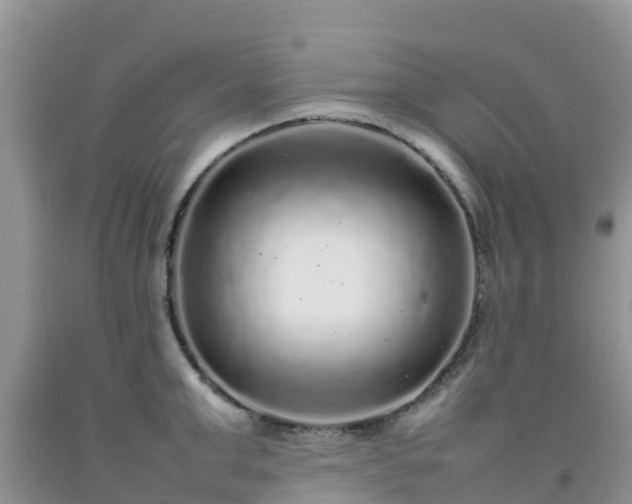 X0000092060999200709191137