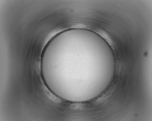 X0000092061000200709191137