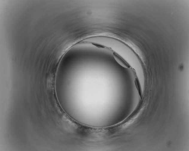 X0000092061001200709191137