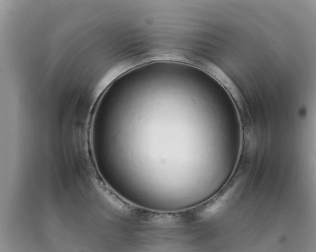 X0000092061002200709191137