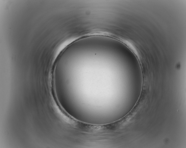 X0000092061003200709191137