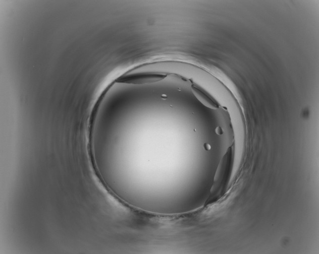 X0000092061005200709191137