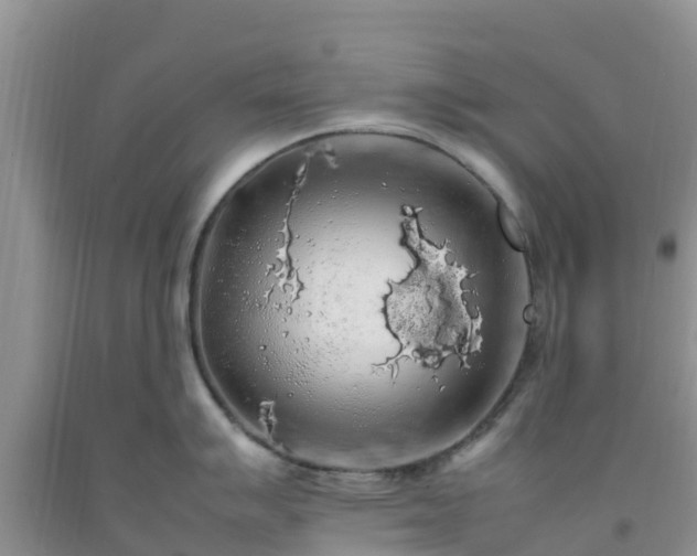 X0000092061007200709191137