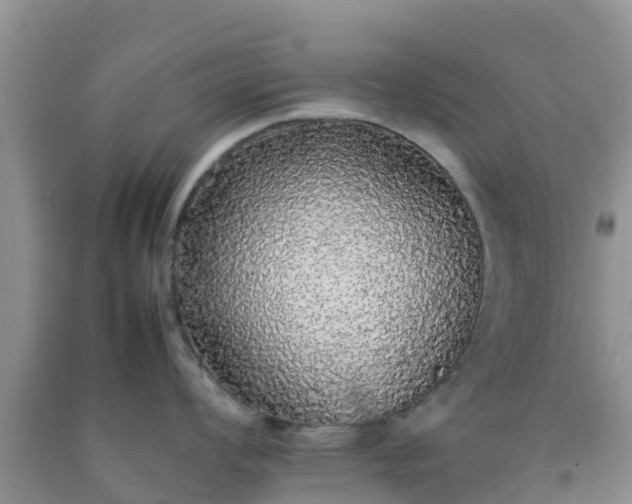 X0000092061008200709191137