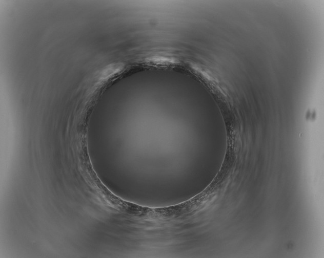 X0000092061009200709191137