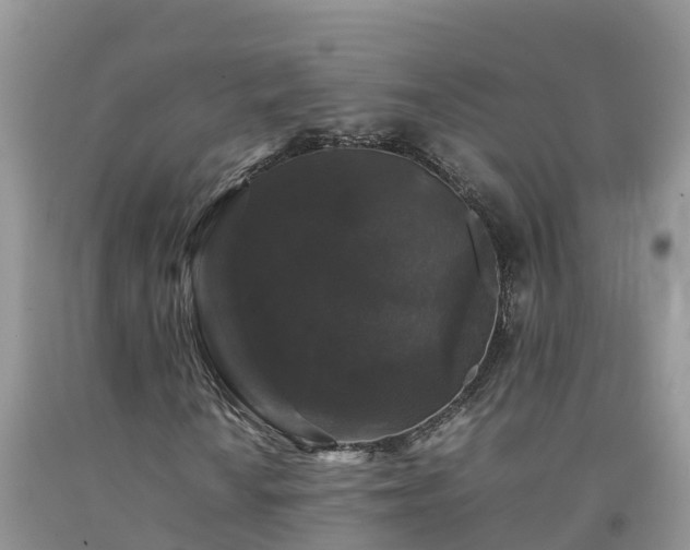 X0000092061010200709191137